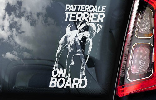 Patterdale terrier car - patterdale,
