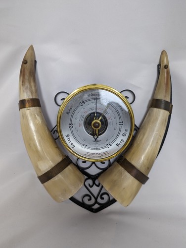 Vintage cow horn and - cow,