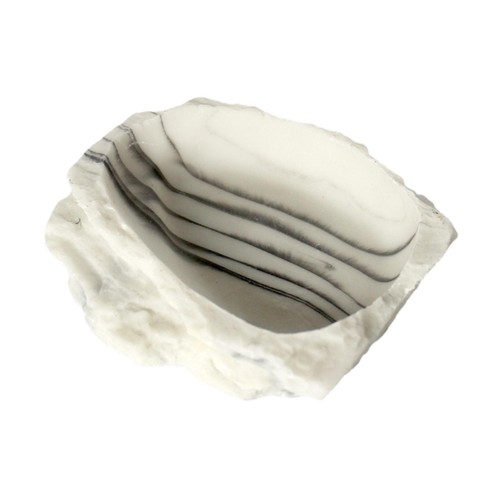 Reptile water dish - reptile, resin