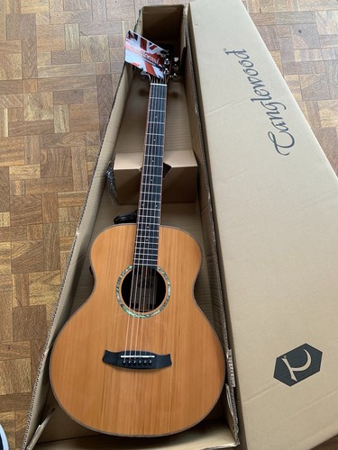 Tanglewood trs1e smart - trs1e,
