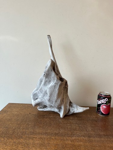 Driftwood piece best silv - driftwood,