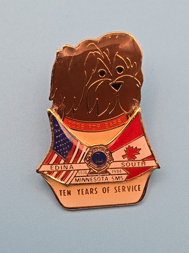 Pin badge lions club - pin,