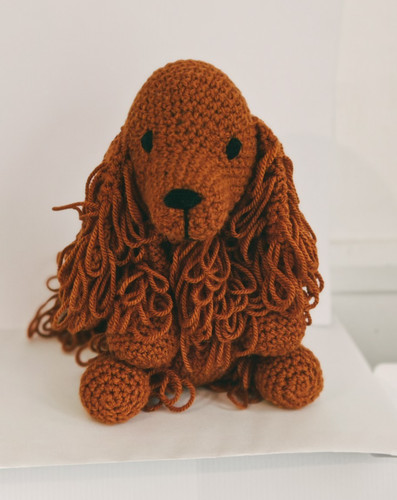 Kylie red setter - kylie,