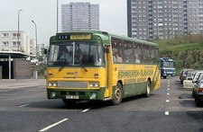 eastern scottish psf313y