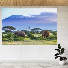 Elephants and Kilimanjaro
