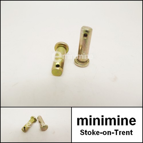 Classic mini door check strap - classic,