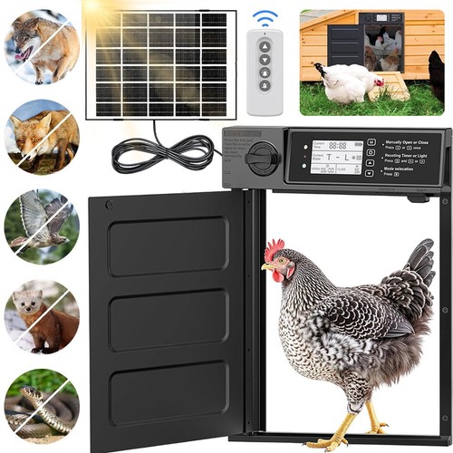 Automatic chicken coop door - chicken,