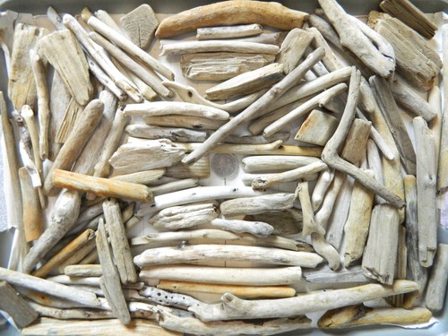 100 driftwood pieces for - 100,