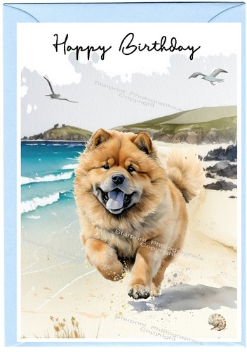 Chow dog birthday - chow,