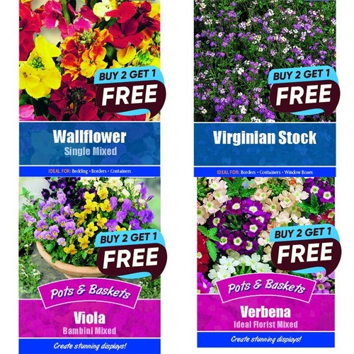 Flower seeds grow - flower, own