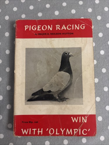 Pigeon racing win with - pigeon, olympic