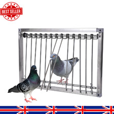 Stainless Steel Pigeon Loft