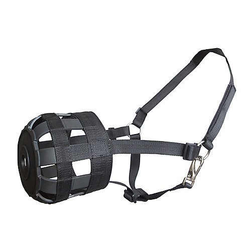 Formay horse grazing muzzle - horse,