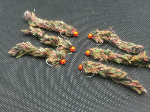 Jacobs coat worms - jacobs,