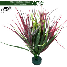 ARTIFICIAL Vivarium Tarantula