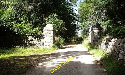 Photo 6x4 disused - photo, gate