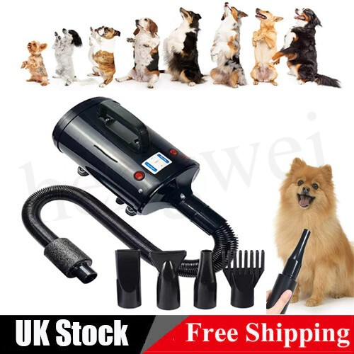 2000w dog cat - 2000w, dryer