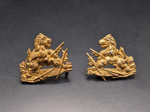 Bsap collar badge - x,