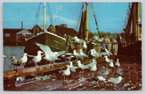 Vintage cape cod - cape,