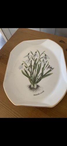 Royal vale octagonal plate - royal,