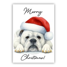 American Bulldog Christmas Dog
