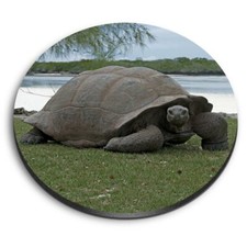 Round MDF Magnets - Aldabra