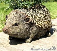 Hedgehog planter patio