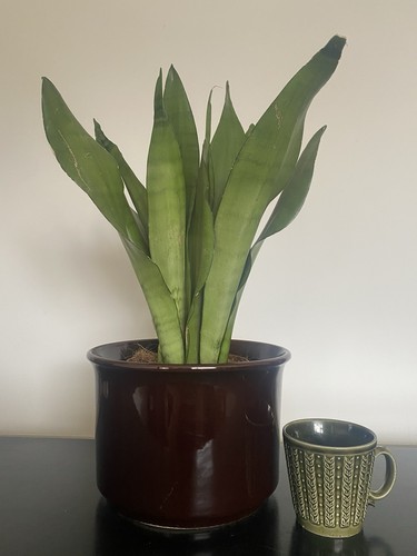 Large vintage brown glazed