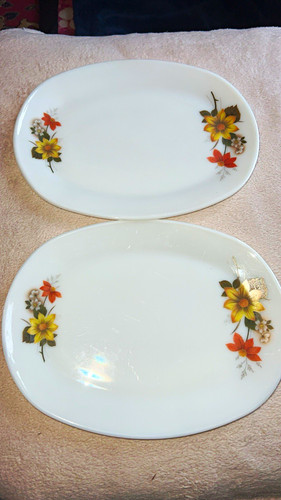 Beautiful pyrex autumn glory - beautiful,