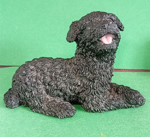 Lovely black poodle - poodle, by
