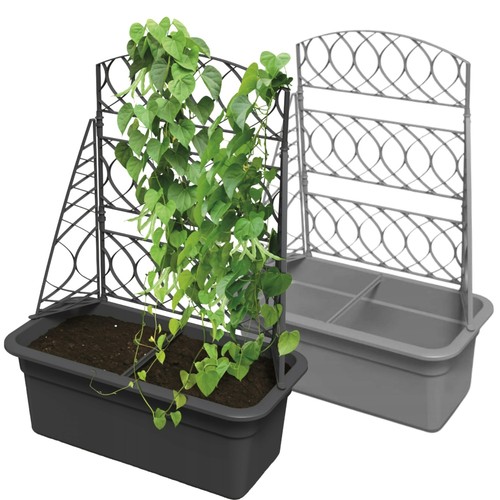 Trellis planter climbing - trellis,