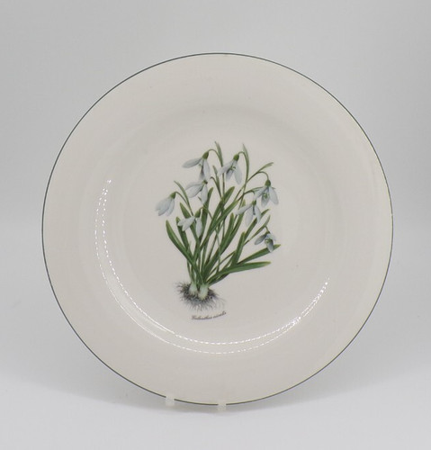 Vintage royal vale galanthus - royal,