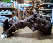 Extra Large 36cm- 50cm Mopani Wood Individual Pieces Aquarium Fish tank Bogwood