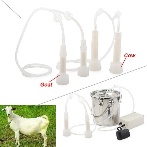 Dual heads electric milking - 5l,