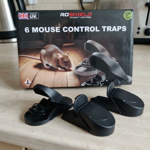 Black mouse traps - black, indoor