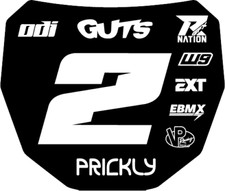 ODI DH Mountain Bike Front