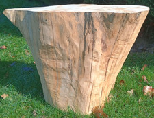 Tree trunk coffee table log