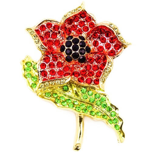 New large brooches for women - for,