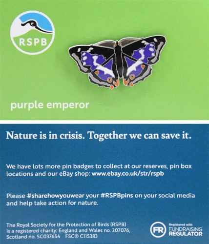 Rspb pin badge niic - rspb,