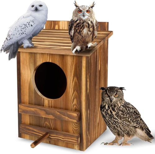 Owl houses for outdoors - owl,