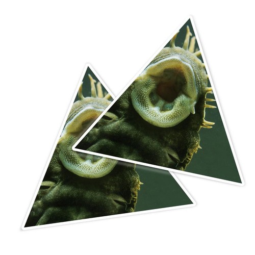 Triangle shape vinyl - triangle,