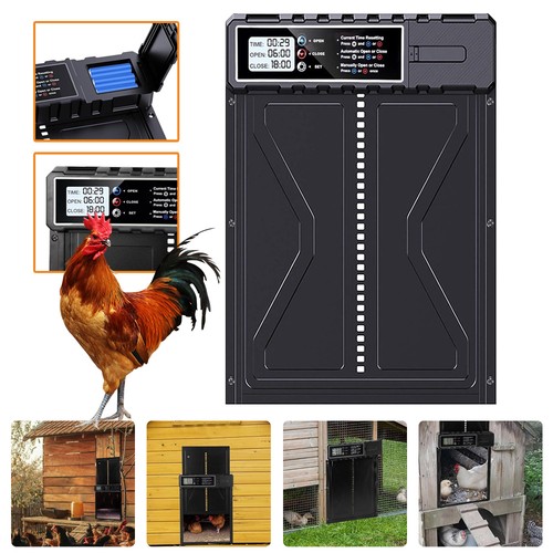 Automatic chicken coop - coop, door