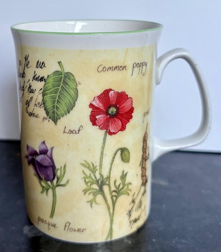 Vintage collectable rose - vintage, of