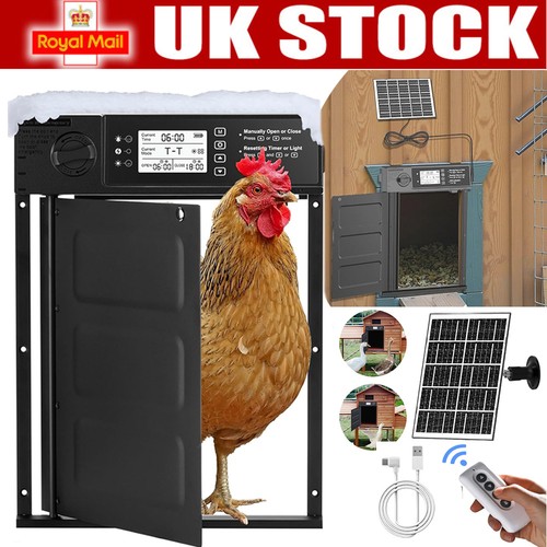 Automatic chicken coop door - chicken,