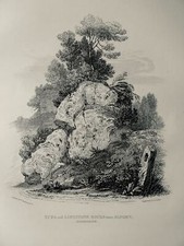 Derbyshire ALPORT TUFA ROCK