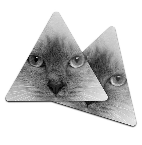 Triangle coaster bw - coaster,
