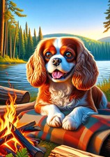 Cavalier King Charles Spaniel