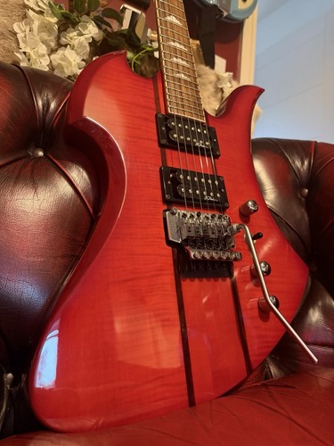 Rich mockingbird neck - rich,