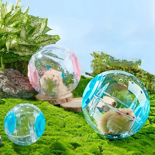 Hamster running ball clear - hamster,