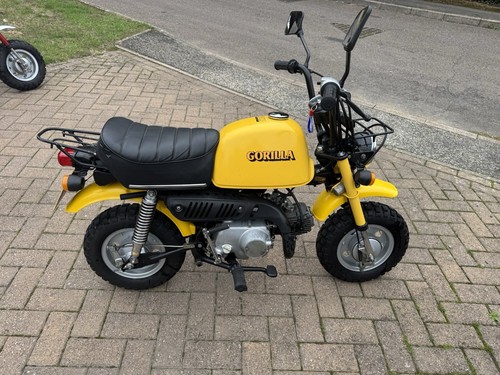 Honda monkey bike gorilla - monkey,